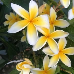 Meet your Posher, Tania